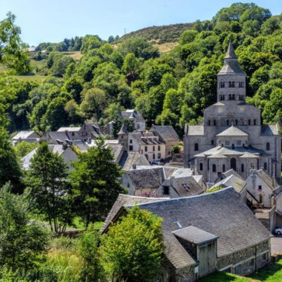 Iris, Gite Saint Antoine, Orcival, Entre Sancy Et Volcans D'Auvergne Bagian luar foto